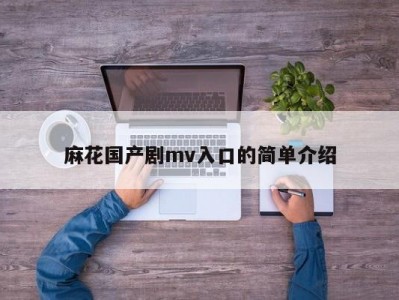麻花国产剧mv入口的简单介绍