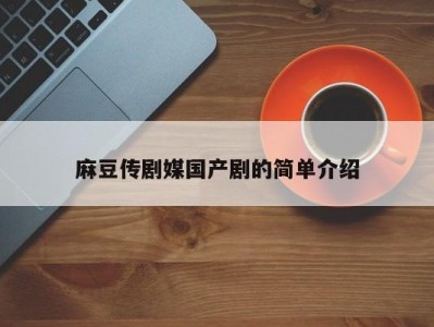 麻豆传剧媒国产剧的简单介绍