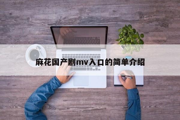 麻花国产剧mv入口的简单介绍